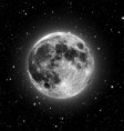 /album/fotogaleria/luna-jpg/